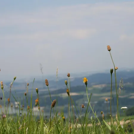 Gasthof Alpenblick Amstetten